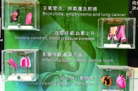 企業於工地當眼處擺放煙害立體模型，讓員工了解吸煙的禍害。